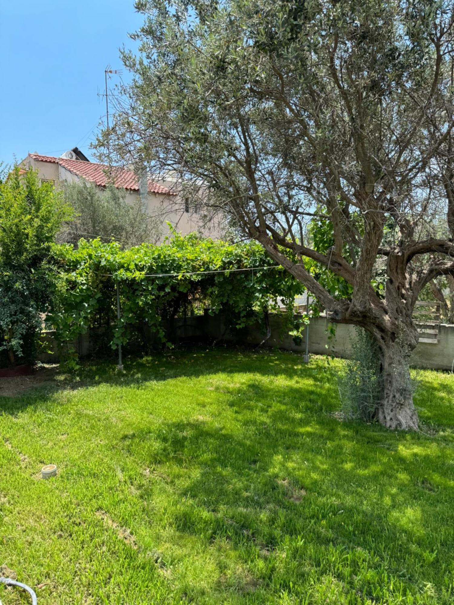 Fotis House Apartment Афанту Екстериор снимка